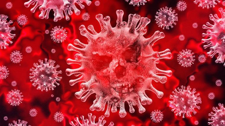 Bereits mehr als 6 Millionen Menschen haben sich weltweit mit dem Coronavirus infiziert.