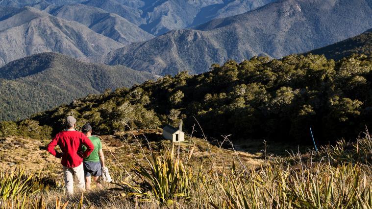 Die beiden Wanderer hatten sich Kahurangi National Park verlaufen (Symbolbild).