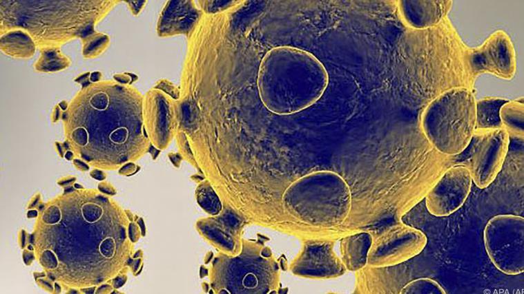 Die Suche nach einem Impfstoff gegen das Coronavirus läuft auf Hochtouren.