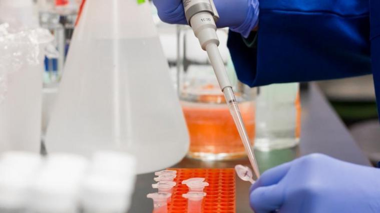 Hydroxychloroquin und Lopinavir-Riponavir sind Medikamente gegen Malaria bzw. Aids. US-Forscher haben nun feststellen können, dass sie gegen Covid-19 keinen Effekt erzielen.