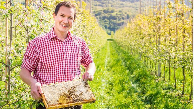 Um die 150 Bienenvölker betreut Imker Michael Hafner in ganz Südtirol.