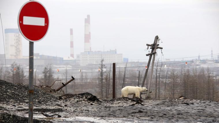 Das Leck ist in Norilsk, einem Arktischen Schutzgebiet, entstanden (Symbolbild).
