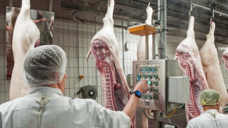 Die Produktion in dem Schlachtbetrieb in Westfalen wurde vorübergehend eingestellt. (Symbolbild)