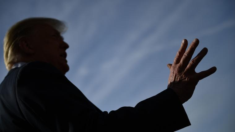 Donald Trump ordnete die Festnahme von Demonstranten, die Denkmäler attackieren oder zerstören.
