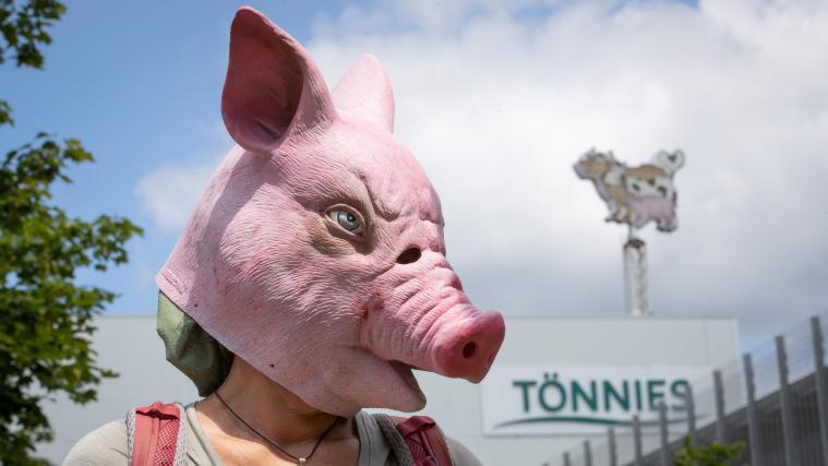 Eine Person trägt eine Schweine-Maske und steht während einer Demonstration gegen Tierquälerei vor dem Betriebsgelände der Fleischfabrik Tönnies.
