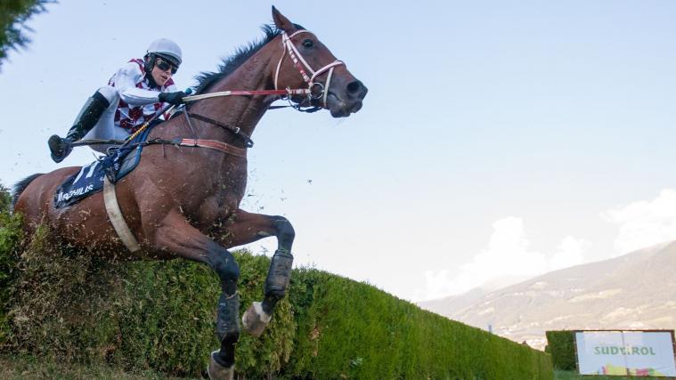 Bis zum Ende der Saison wird der Meraner Pferderennplatz von der Meran Galopp GmbH geführt.