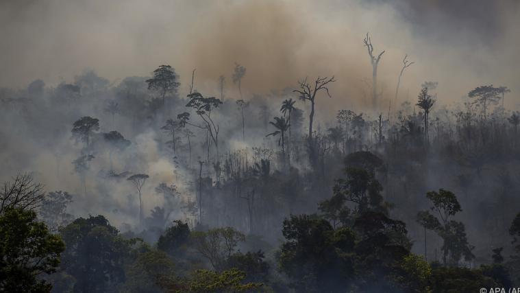 Brasiliens Regenwald schrumpft durch Feuer und Abholzung.