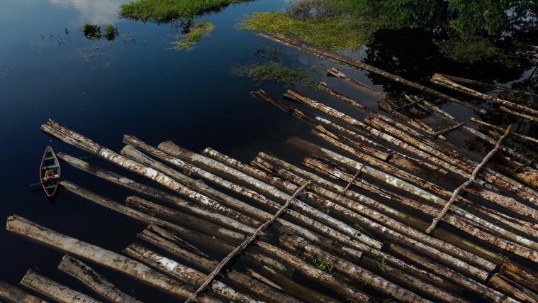 Die Geldgeber fordern ein Stopp der Amazonas-Rodung.