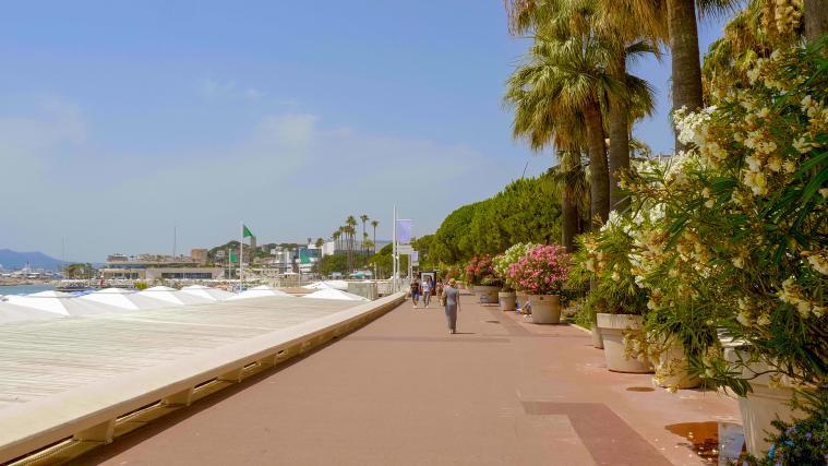 Auf der Strandpromenade in Cannes ist es zu einer Massenpanik gekommen.