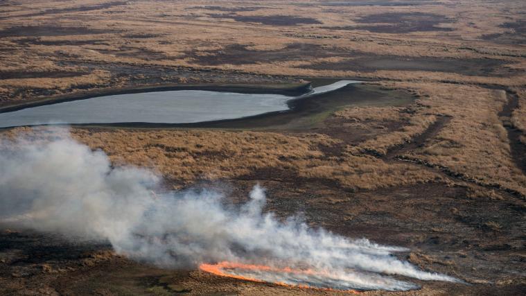 Bereits 530 Quadratkilometer Land wurden im Flussdelta des Paranas in Argentinien aufgrund der Dürrefeuer zerstört.