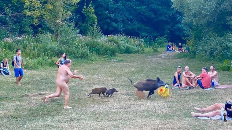 Der nackte Mann jagte dem Wildschwein hinterher.
