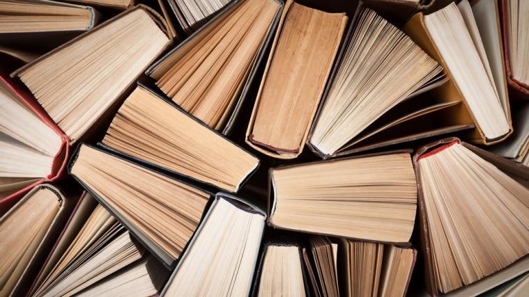 Die Buchbranche soll mit rund 25 Millionen Euro gefördert werden.