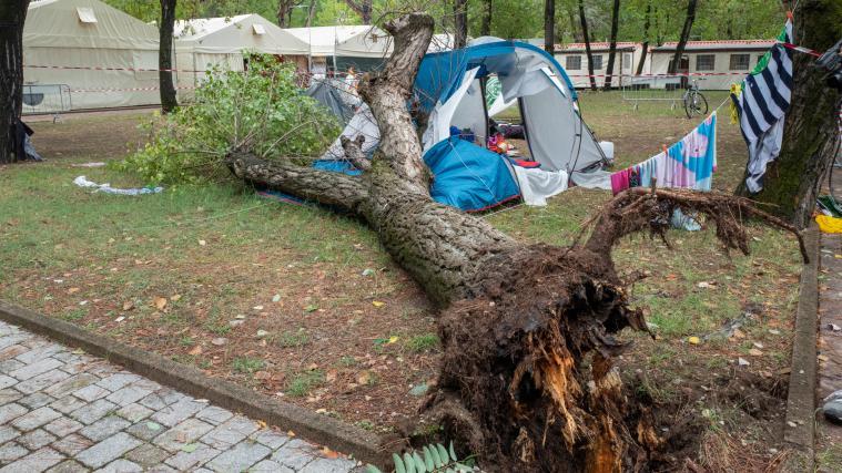 Ein Baum stürzte in einem Campingplatz in der Toskana auf ein Zelt, in dem 2 Schwestern schliefen. Sie starben im Krankenhaus.