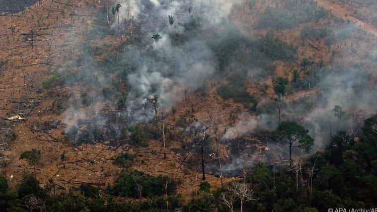 Die Zahl der Brände im brasilianischen Amazonas-Gebiet steigt weiter an.