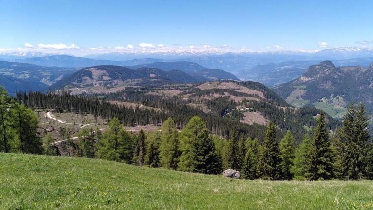 Sturmtief Vaia sorgte für Verwüstung in Südtirol.