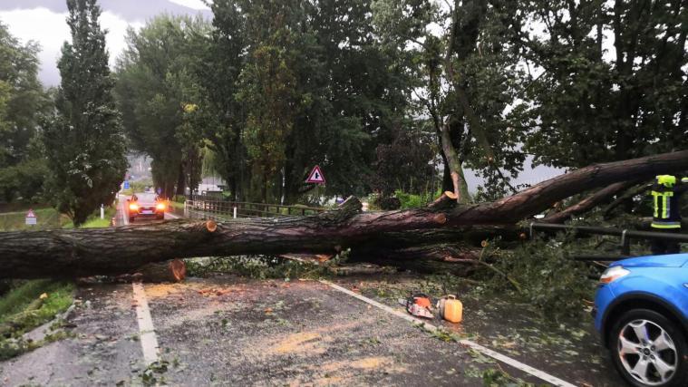 Umgestürzte Bäume blockierten bei den Unwettern am Wochenende zahlreiche Straßen, so auch in Lana
