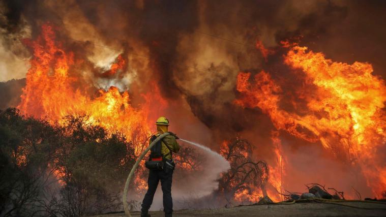 2.800 Hektar Land wurden durch die Flammen zerstört.