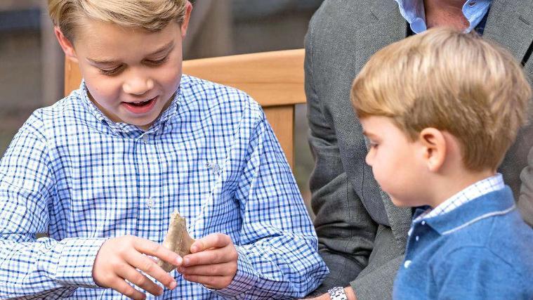 Auf Bildern ist zu sehen, wie George das Zahnfossil bestaunt.