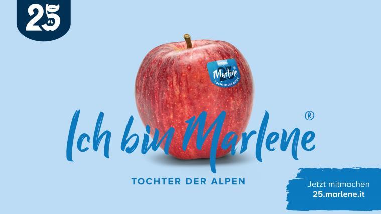 Beteilige dich an der Initiative zum Thema Kunst und werde Gestalter des internationalen Marlene® Looks.