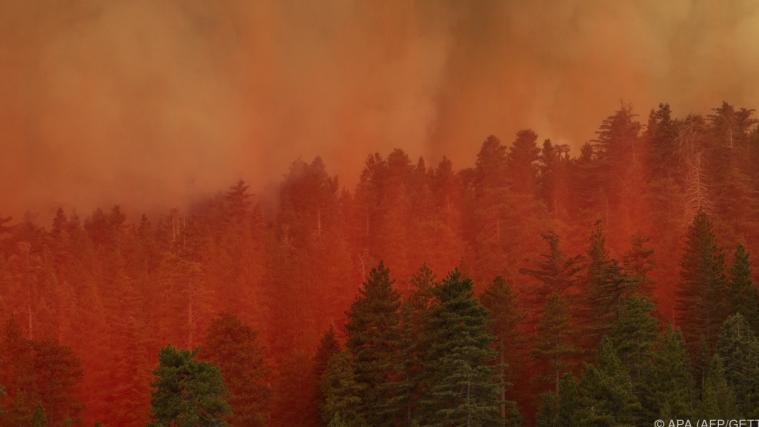 Feuer verfärbt diesen Wald in Kalifornien.