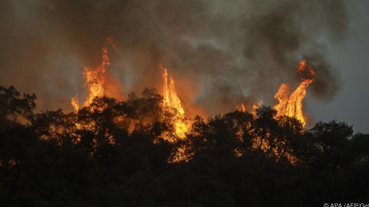 Immer noch wüten in Kalifornien verheerende Waldbrände.