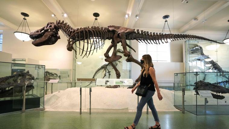 Unter anderem durch den Hollywoodfilm „Nachts im Museum“ wurde das Museum weltweit bekannt.