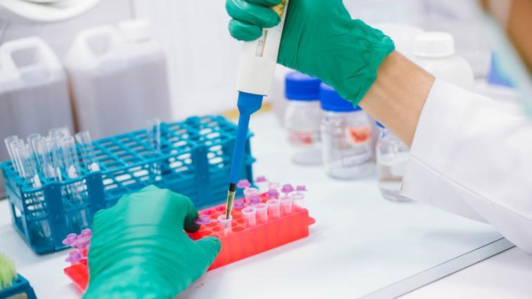Auch in den vergangenen 24 Stunden wurden zahlreiche Abstriche auf das Coronavirus untersucht.
