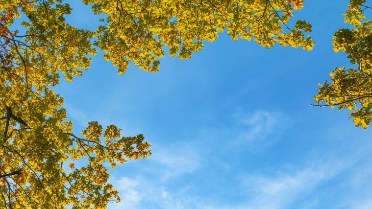 Das Wochenende zeigt sich von seiner sonnigen Seite.