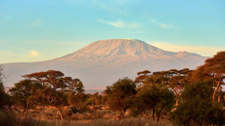 Der Großbrand auf Afrikas höchstem Berg ist den Behörden zufolge weitgehend unter Kontrolle.