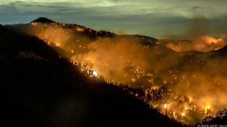 Derzeit wüten in Kalifornien verheerende Waldbrände.