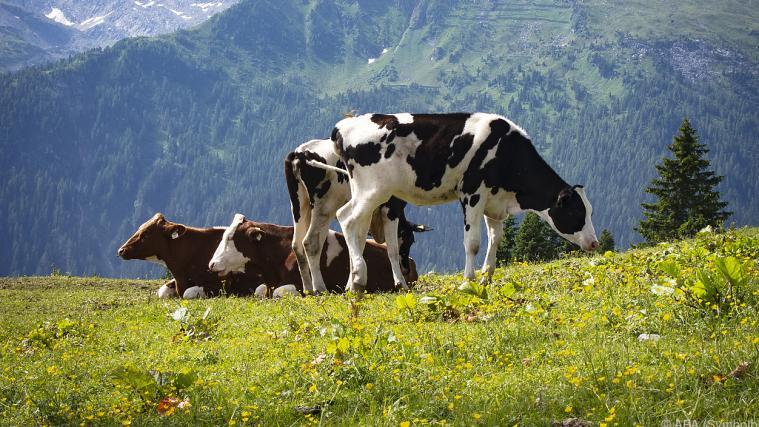 Die Agrar-Fördergelder der EU sollen etwas reduziert werden.