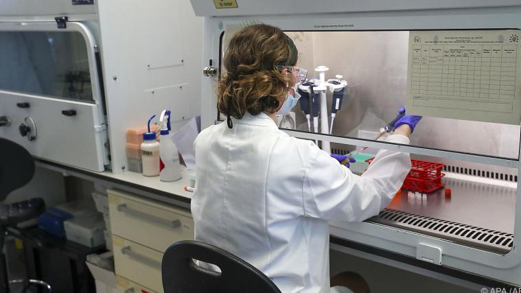 Die Wissenschaftler erwarten sich neue Erkenntnisse über das Virus.
