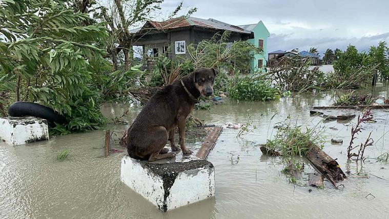 "Molave" hat bereits auf den Philippinen für Verwüstung gesorgt.