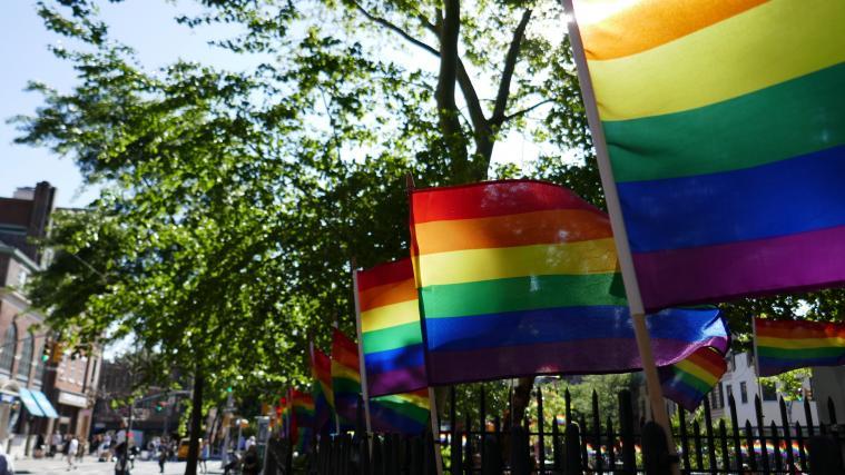 Der 17. Mai soll zum nationalen Tag gegen Homophobie erklärt werden.
