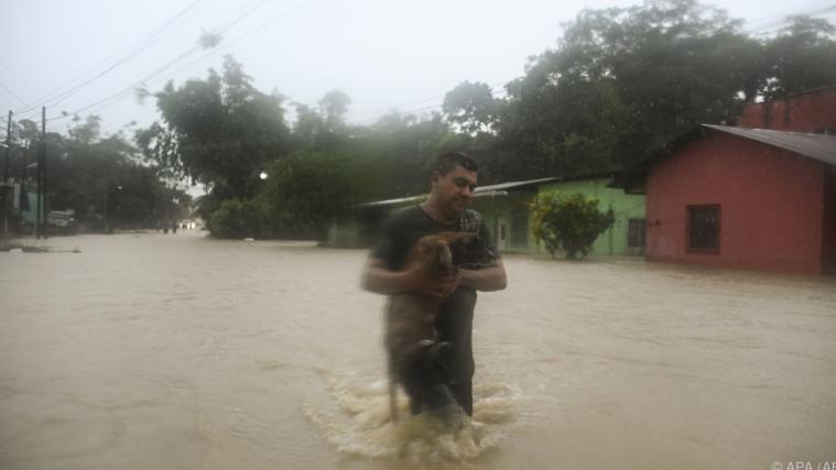 Ein Mann in Guatemala rettet seinen Hund vor den Wassermassen.