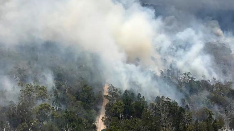 In Australien brennen die Wälder.