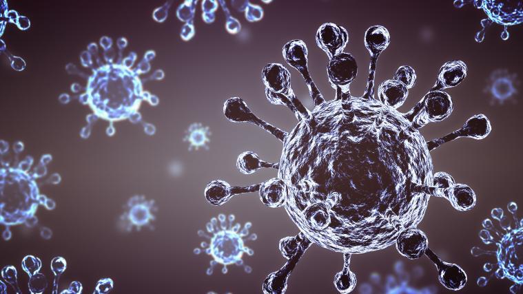 Mehr als 244.300 Menschen starben im Zusammenhang mit dem Virus – mehr als in jedem anderen Land der Welt.