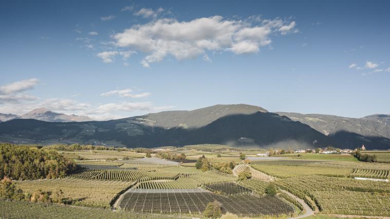 Obstbau in Südtirol: Auf einen Dialog statt Gerichtsstreit haben sich Südtirols Obstbauern mit Alexander Schiebl und dem Umweltinstitut München e. V. geeinigt.