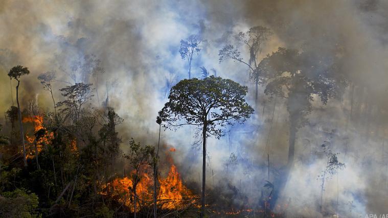 Zahl der Brände im Amazonaswald mehr als verdoppelt gegenüber Oktober 2019.