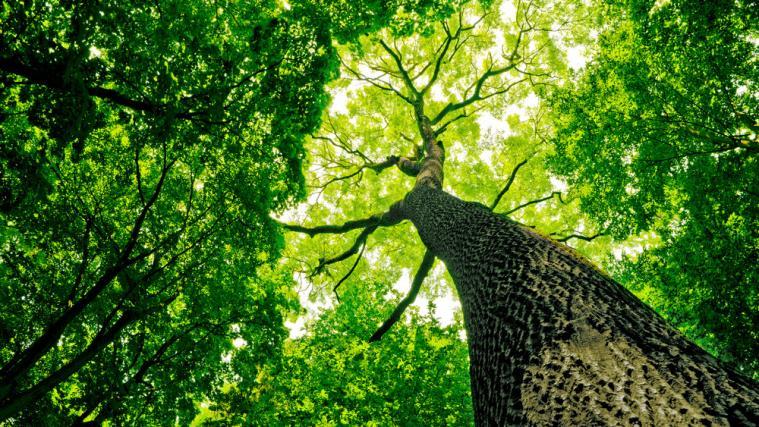 Ziel des Klimaabkommens von Pairs ist es, den Klimawandel auf deutlich unter 2 Grad zu begrenzen.