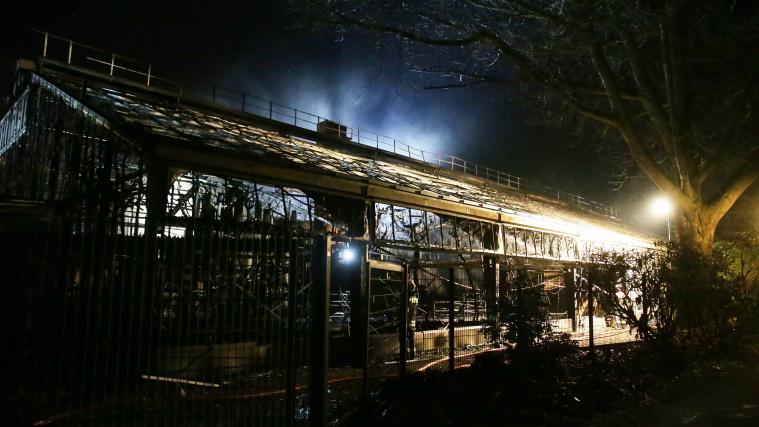 50 Tiere starben in den Flammen.