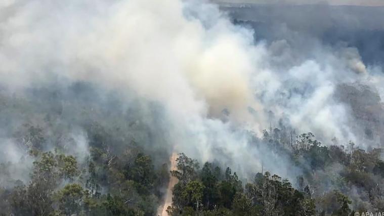 Das Feuer wütet auf Fraser Island.