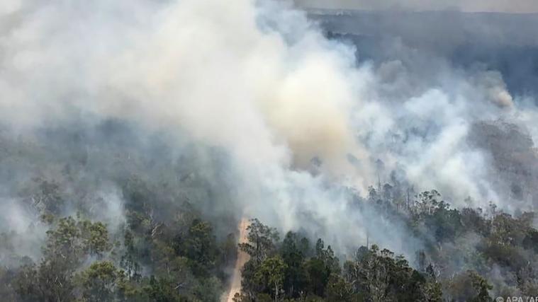 Ein Buschbrand wütet auf Fraser Island.