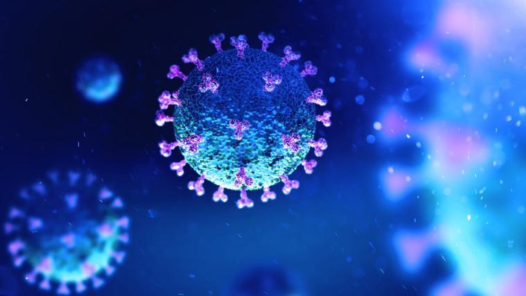 In Südafrika wurde eine neue Variante des Virus entdeckt.