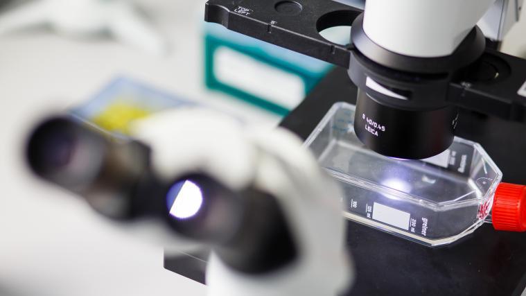 „Mit der Präsenz von Plastik im Körper wird das Immunsystem gestört“, erklärt Antonio Ragusa, Autor der Studie.