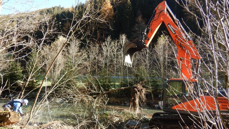 Pilotprojekt Strukturholz in der Talfer bei Aberstückl: Etwa zehn Bäume aus dem Uferbereich und rund 25 Bündel aus Sträuchern und Weidenästen wurden im Flussbett befestigt.