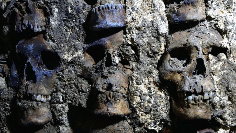 Weitere 119 S Scghädel wurden entdeckt.