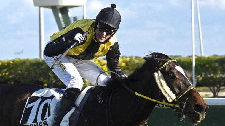 Jockey Josef Bartos jubelt nach seinem Sieg mit Sternkranz.
