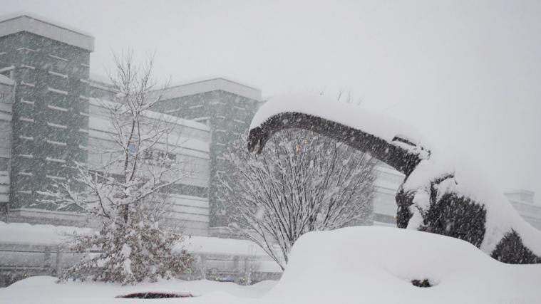 Massive Schneefälle in Japan haben bereits mehrere Todesopfer gefordert.