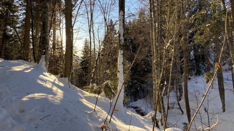 Zum bereits liegenden Schnee kommt in der zweiten Wochenhälfte vielerorts noch etwas dazu.
